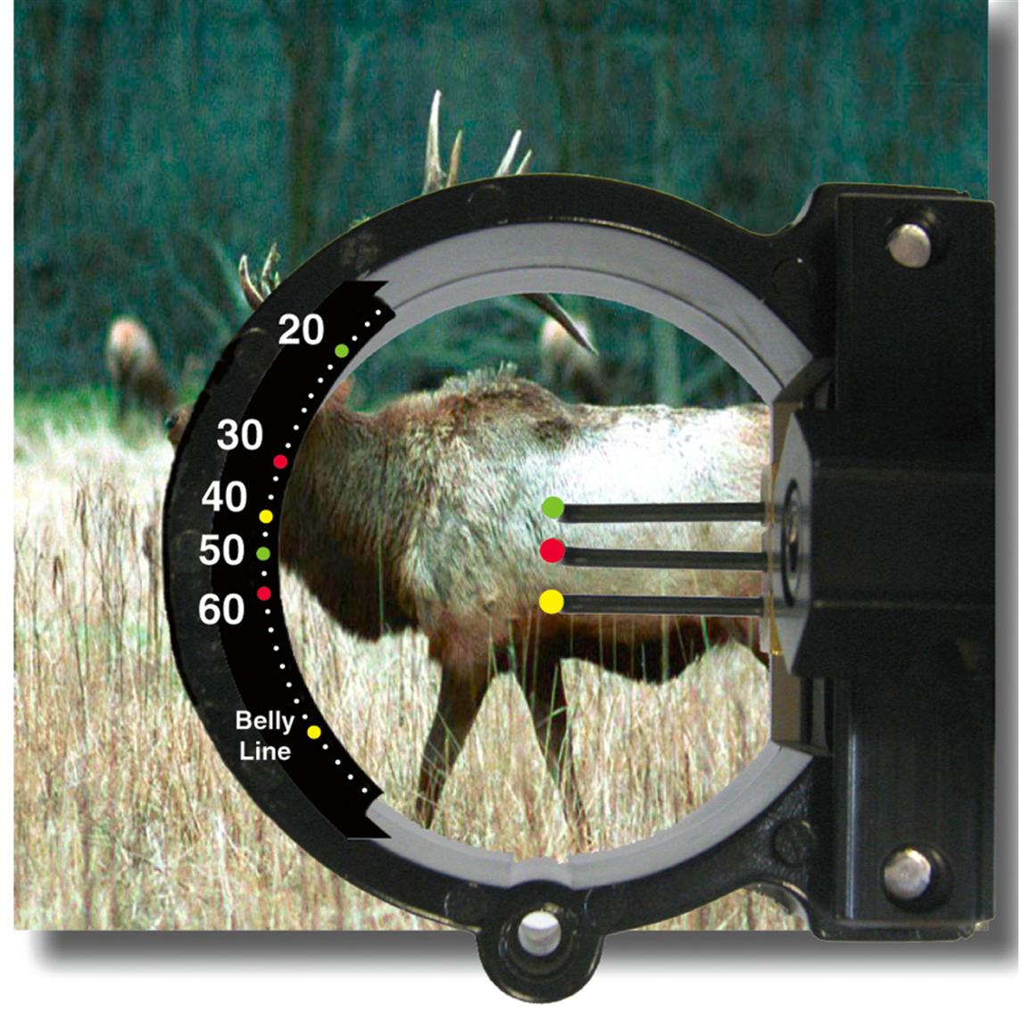 Archery Distance Judging Tips and Tricks